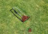 Grass painting evoking Palestinian flag and watermelon slices.