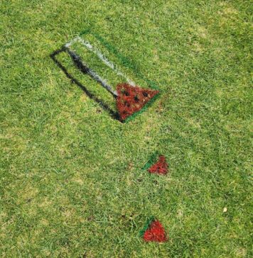 Grass painting evoking Palestinian flag and watermelon slices.