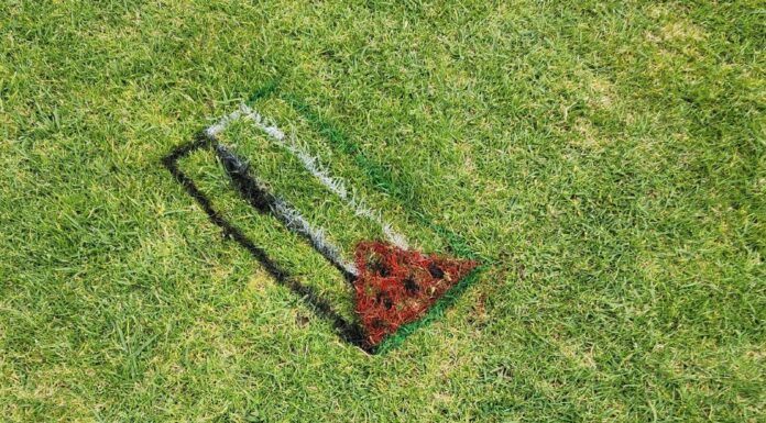 Grass painting evoking Palestinian flag and watermelon slices.